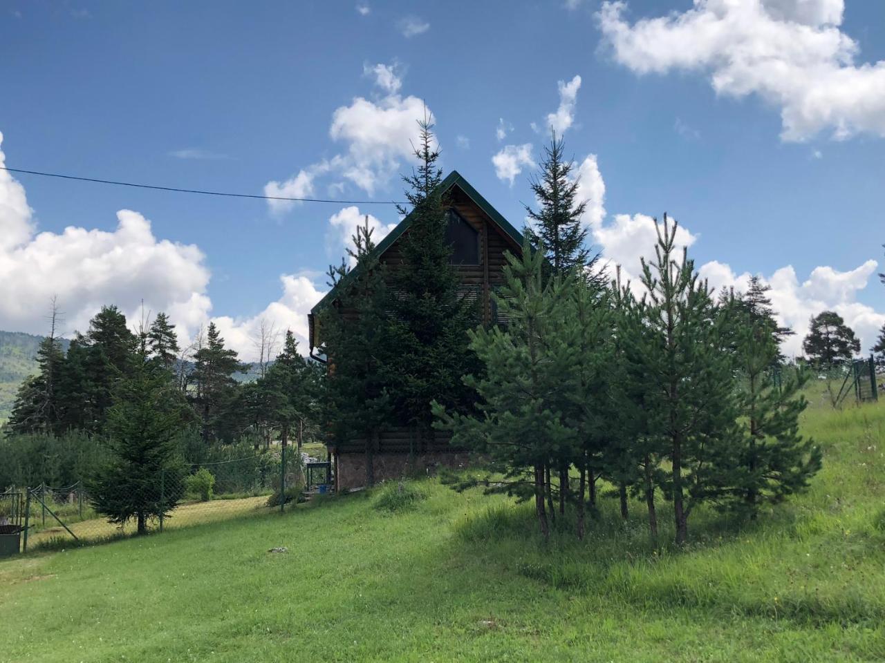 Apartament Kuca U Borju - House In Pines Žabljak Zewnętrze zdjęcie