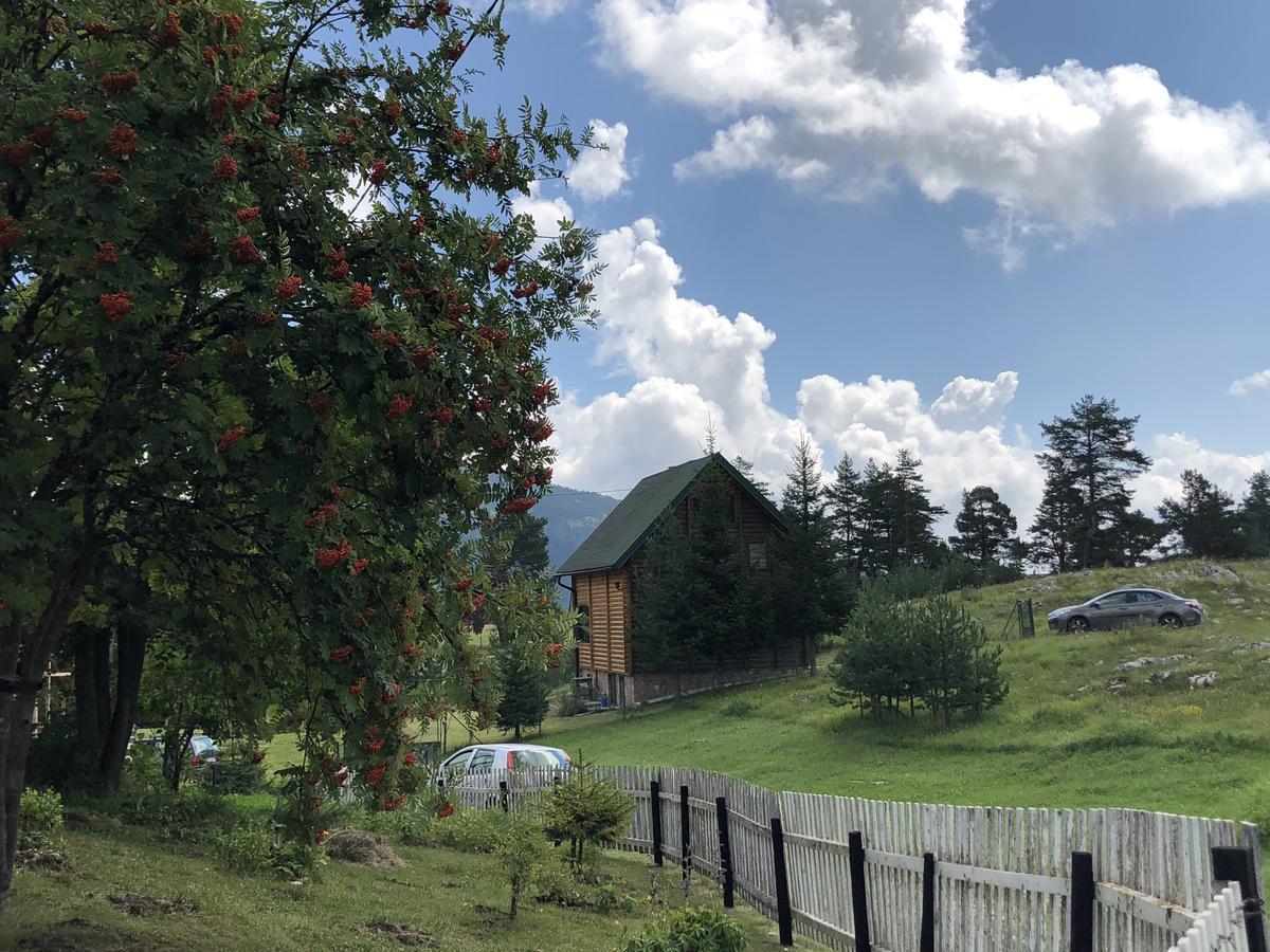 Apartament Kuca U Borju - House In Pines Žabljak Zewnętrze zdjęcie